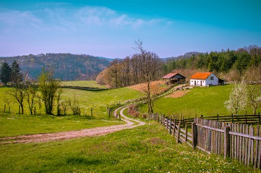 MILENKO NAPRAVIO HAOS NA FEJSBUKU PONUDOM: “Lepo kažem, ne prodajem, poklanjam!”