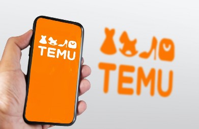 EVO KO JE VLASNIK TEMUA! Na meti je države zbog OLEGALNOG POSLOVANJA