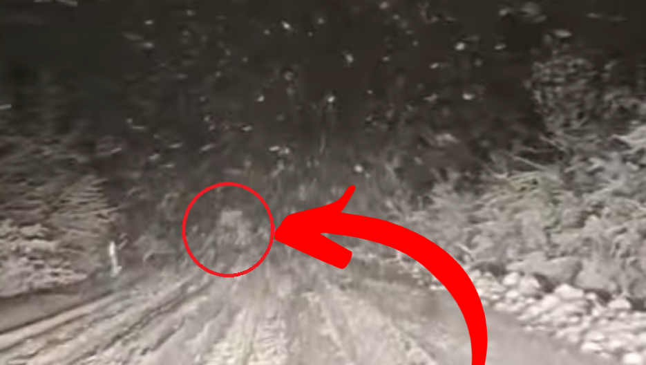 "UBICA NA PUTU KOD BORSKOG JEZERA" Cela Srbija na nogama, sreća pa nema mrtvih