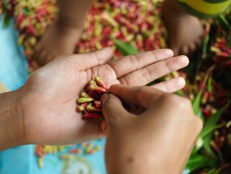 POSTAVILA JE KARANFILIĆ NA SVA VRATA U KUĆI Preko noći rešila problem koji je godinama trajao