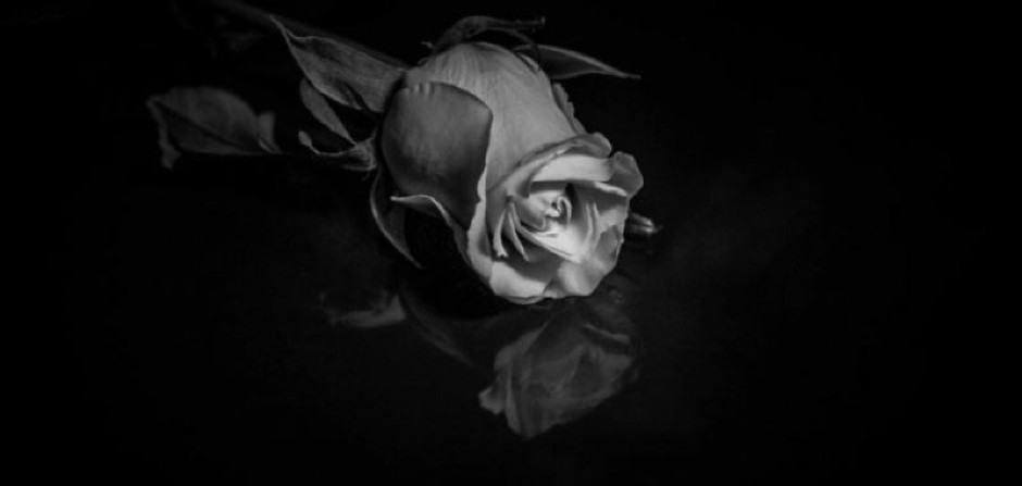 UMRO SLAVNI HRVATSKI MUZIČAR (49)