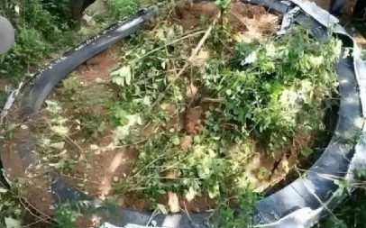 MISTERIOZNI VATRENI PRSTEN PAO NA SELO ‘Mislili smo da je došao kraj sveta’