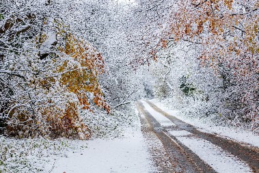 EVROPSKA ZEMLJA IZDALA HITNO UPOZORENJE ZBOG VRLO NISKIH TEMPERATURA: Obilazite prijatelje i komšije!