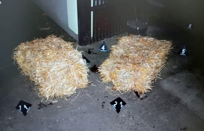 NOVI DETALJI UBISTVA U INĐIJI Priznao da je na Badnje veče sekirom ubio poznanika pa odveo policiju da pokaže gde je sakrio sekiru