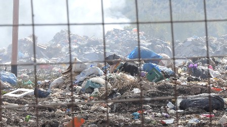 DEVOJKA BACILA U DJUBRE 700 MILIONA EVRA Britanac sprečen da pretraži deponiju u potrazi za diskom sa bitkoinima