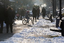 VIKEND HOROSKOP ZA PERIOD OD 17. DO 20. JANUARA Tri zbaka će biti na sedmom nebu od velike sreće