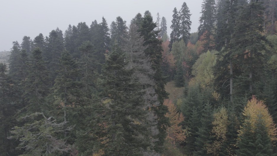 Marko za komad ovoga uzme i do 500 evra! Gledali su ga belo, a sada zarađuje odlično