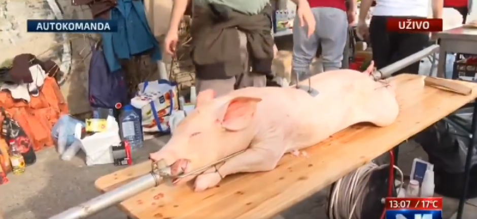 "KOMEMORATIVNI" SKUP "STUDENATA" SE PRETVORIO U VAŠAR! 15 ljudi poginulo. a na Šolakovom mediju glavna vest - PRASE! (VIDEO)