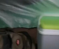 KAMPOVANJE SE ZAMALO PRETVORILO U HOROR Otvorio je šator i zaledio se od straha – ispred njega je stajalo ČUDOVIŠTE! (VIDEO)