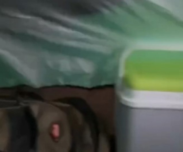 KAMPOVANJE SE ZAMALO PRETVORILO U HOROR Otvorio je šator i zaledio se od straha – ispred njega je stajalo ČUDOVIŠTE! (VIDEO)