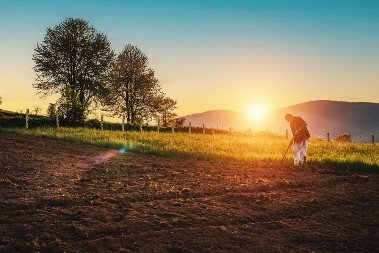 Par iz Beograda se prijavio na program i pobegao iz gradske vreve: Dobili seosku kuću i pokrenuli posao, evo i kako!