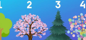 OTKRIJTE SVOJU DOMINANTNU OSOBINU I KAKO VAS DRUGI VIDE Izaberite drvo koje vam najviše privuče pažnju! (FOTO)