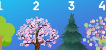 OTKRIJTE SVOJU DOMINANTNU OSOBINU I KAKO VAS DRUGI VIDE Izaberite drvo koje vam najviše privuče pažnju! (FOTO)