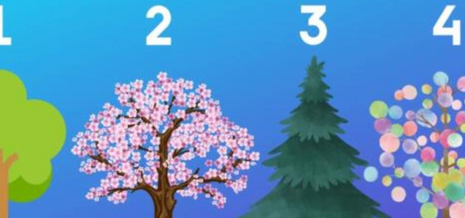 OTKRIJTE SVOJU DOMINANTNU OSOBINU I KAKO VAS DRUGI VIDE Izaberite drvo koje vam najviše privuče pažnju! (FOTO)