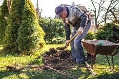 OVE 4 VRSTE POVRĆA POSADITE U FEBRUARU Mraz im ne može ništa, bićete mirni do proleća
