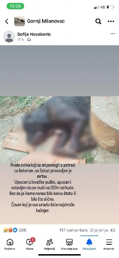 JEZIVO UBISTVO U GORNJEM MILANOVCU   Pas Astor za kom se tragalo pronađen mrtav