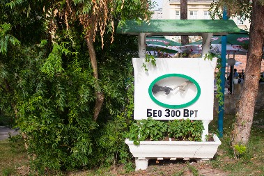 ŽIRI JE DONEO ODLUKU Izabrana pobednička ideja za potencijalni beogradski zoo na Adi Ciganliji