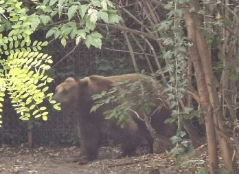 SUTRA ĆEMO ZNATI Hoće li zima potrajati?