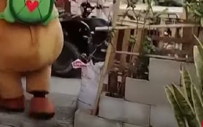 DA LI JE OVO NAJLUĐE HVATANJE KRIMINALCA IKADA? Kad vidite u koju životinju se maskirao policajac, plakaćete od smeha! (VIDEO)