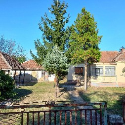 ŠTA PIŠE NA TARABI? Sve je teže kupiti kuću na selu za 10.000 evra, evo gde ih još ima