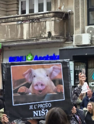 JE L' PROŠO NIŠ? ''Studenti'' tragediju omalovažavaju sprdnjom (FOTO)