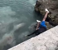 RIBAR SE OKLIZNUO I PAO PRAVO NA MORSKO ČUDOVIŠTE Zver razjapila čeljusti i krenula da ga ugrize, kamera snimila jeziv prizor! (VIDEO)