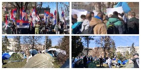 STOP BLOKADAMA! STUDENTI KOJI ŽELE DA UČE U PIONIRSKOM PARKU! "Pozivam sve kolege da nam se pridruže, više nismo tihi, sad smo većina! Živela Srbija!" (FOTO/VIDEO)