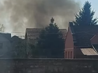 STRAVIČAN POŽAR U VETERNIKU! Gori nisko rastinje, vatrogasne ekipe na licu mesta (VIDEO)