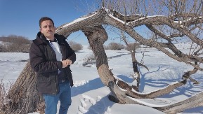 OVO JE ČUVENO "DRVO LJUBAVI" NA PEŠTERU! Tri puta je u njega udarao grom - mnoge legende se prepričavaju (FOTO)