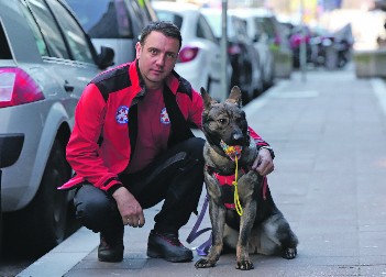 IKONA JE NESTALU BEBU NAŠLA PO DAHU! Krzneni heroj GSS u poseti našoj redakciji (FOTO)