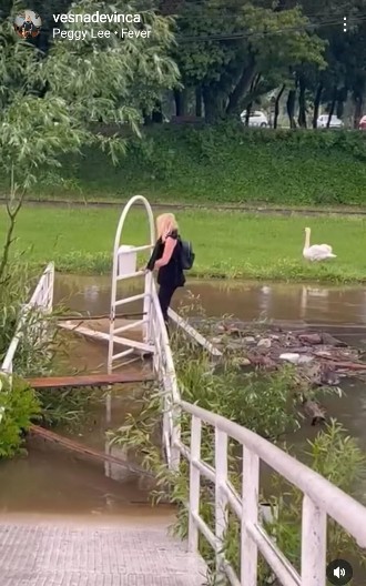 POLICIJA ISELILA SRPSKU VODITELJKU IZ DOMA Tu je provela 19 godina, živela na Vračaru, a sada preživljava od 300 evra mesečno!