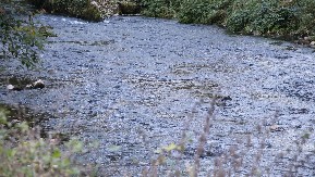 DRAMA U TUZLI: Dve osobe nestale, nabujala reka Jala odnela i policajca!