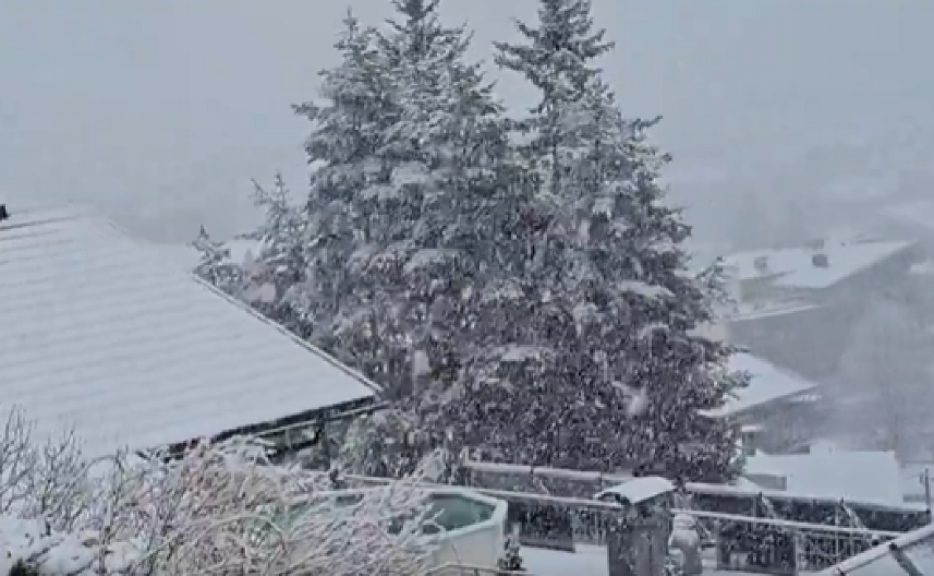 POLA METRA SNEGA PALO U AUSTRIJI Haos na kraju marta, preti im velika opasnost! (VIDEO)