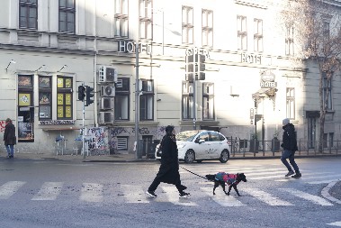 OVDE ĆE DANAS PADATI SNEG! RHMZ objavio prognozu za celu nedelju, izdao i upozorenje u vezi sa rekom Savom