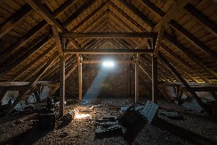 ČULA LUPANJE IZNAD PLAFONA, PRIMETILA DA PADAJU EKSERI Kada je zakoračila na tavan, umalo se onesvestila od šoka!