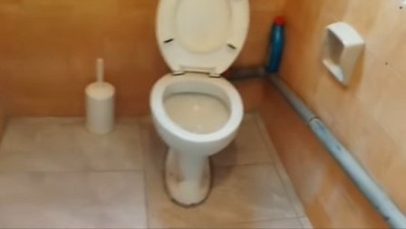 ZASTRAŠUJUĆE OTKRIĆE U WC ŠOLJI Stvorenje nedeljama živelo u kanalizaciji, porodica nije smela u kupatilo - HOROR! (VIDEO)
