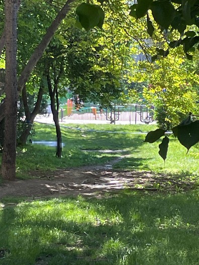 PRVI SNIMCI SA MESTA UBISTVA NA KONJARNIKU! Telo u parku prekiveno, ulica pod opsadom! (FOTO/VIDEO)