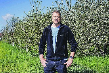 KOLAČARA CVETA, NIŠTA JOJ NE SMETA! Neurolog Aleksandar Stojanović čuva autohtone sorte voća od nestanka