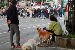 "SVAKI ZA DNEVNICU RADI" Vučić o blokadi RTS: To vam je išlo od 50, pa došlo do 300 evra, nema idela, samo pare!