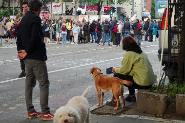 "SVAKI ZA DNEVNICU RADI" Vučić o blokadi RTS: To vam je išlo od 50, pa došlo do 300 evra, nema idela, samo pare!