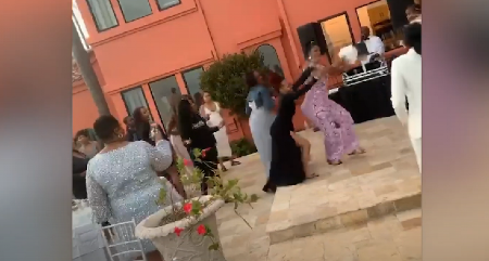 ČIM GA JE VIDELA, ODMAH JE NA NJEGA NAVALILA Primetila je bidermajer, pa krenula u napad! (VIDEO)