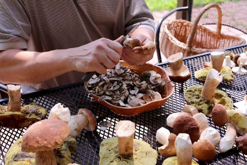 Petrovići bez mašina i njiva zarađuju odlično: Mnogi odustaju brzo od ovog posla