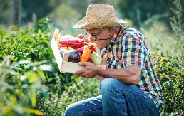PAZI S KIM PAPRIKA RASTE Ove biljke je uništavaju, osušiće se i pre cvetanja