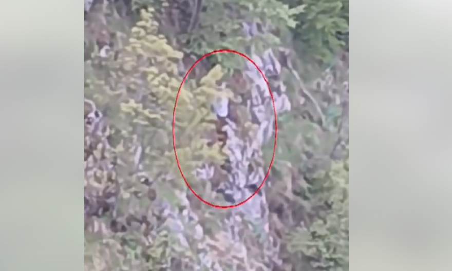 BOGDAN VISIO IZNAD ŽIVOTA I SMRTI 12 SATI! Stajao pred provalijom nakon nesreće, ispod njega ambis: Šokantan snimak osvanuo na mrežama (VIDEO)