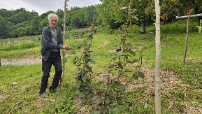 ČUDO U SELU KOD PRIJEPOLJA! Milivoju niklo egzotično voće usred dvorišta: Ovo je dokaz da je sve moguće!