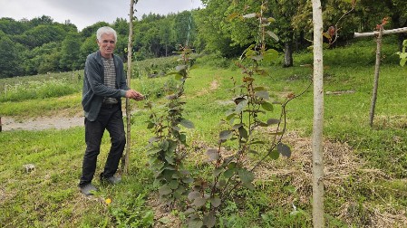 ČUDO U SELU KOD PRIJEPOLJA! Milivoju niklo egzotično voće usred dvorišta: Ovo je dokaz da je sve moguće!
