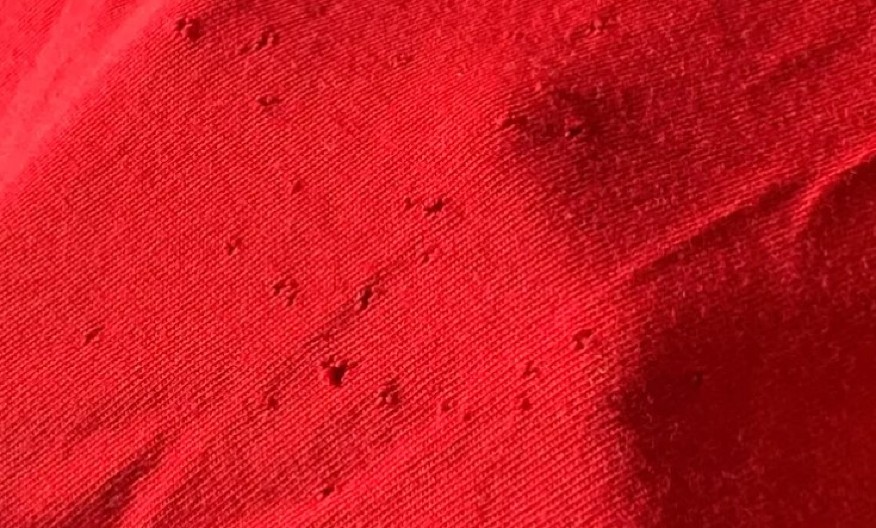KUPILI STE I OPRALI  MAJICU, ALI STE PRIMETILI DA IMA RUPE? Ne, nisu moljci - evo šta je zapravo glavni krivac i kako da to sprečite!