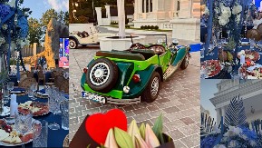 GALA PROSLAVA ROĐENDANA ŽELJKA MITROVIĆA Isplivale fotke iz palate, sve vrvi od luksuza! (FOTO/VIDEO)