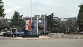 ULICE PUSTE, ZASTAVE NA POLA KOPLJA Tuga obavila Cetinje, oglasila se policija: Nećemo saopštiti imena ubijenih