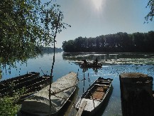 TRAGIČAN KRAJ POTRAGE Telo profesorke i bivše poslanice pronađeno u Tisi
